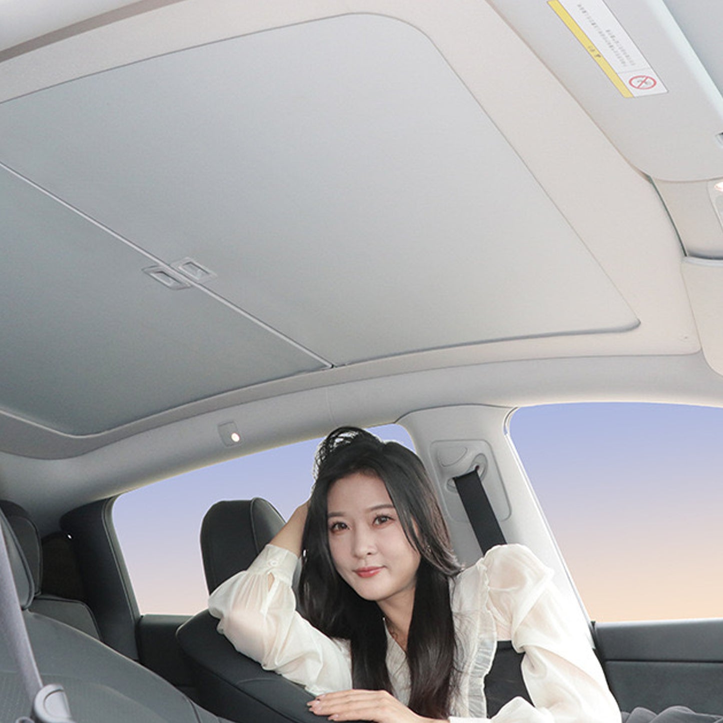 Tesla Model Y 3 Retractable Glass Roof Sunshade