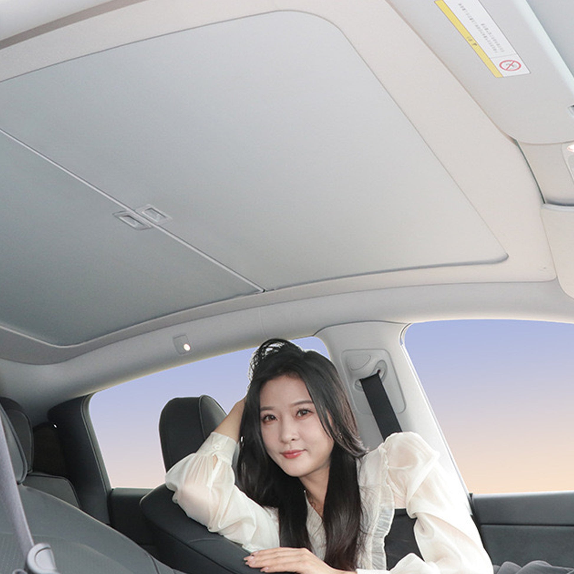 Tesla Model Y 3 Retractable Glass Roof Sunshade